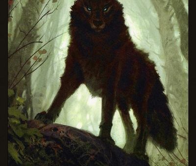 Wolf Double-Sided Token [Challenger Decks 2020 Tokens] Fashion