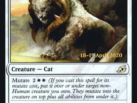 Cubwarden [Ikoria: Lair of Behemoths Prerelease Promos] Fashion