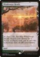 Windswept Heath (Expeditions) [Zendikar Rising Expeditions] For Cheap