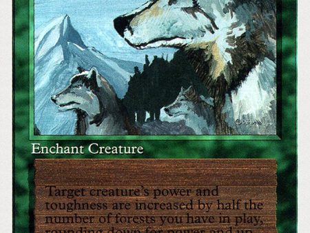 Aspect of Wolf [Summer Magic   Edgar] Online Sale