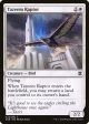 Tazeem Raptor [Zendikar Rising] Hot on Sale