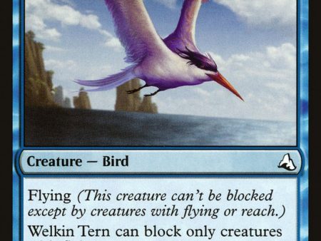 Welkin Tern [Mystery Booster] on Sale