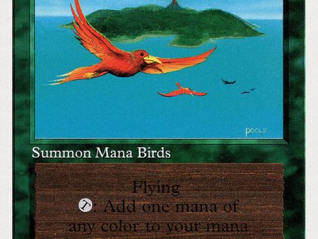 Birds of Paradise [Summer Magic   Edgar] For Discount